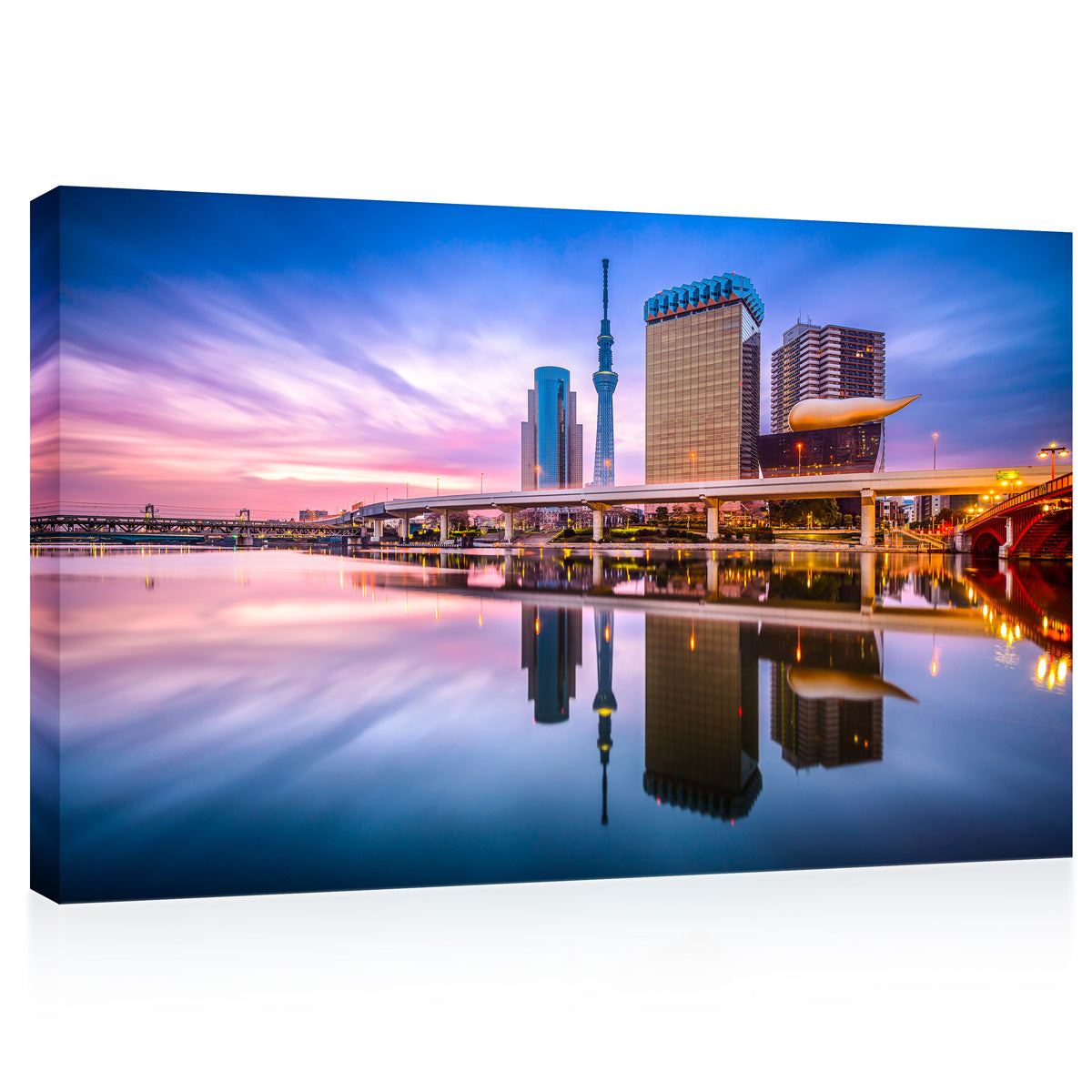 Canvas Print -  Sumida River, Tokyo Skyline, Japan #E0487