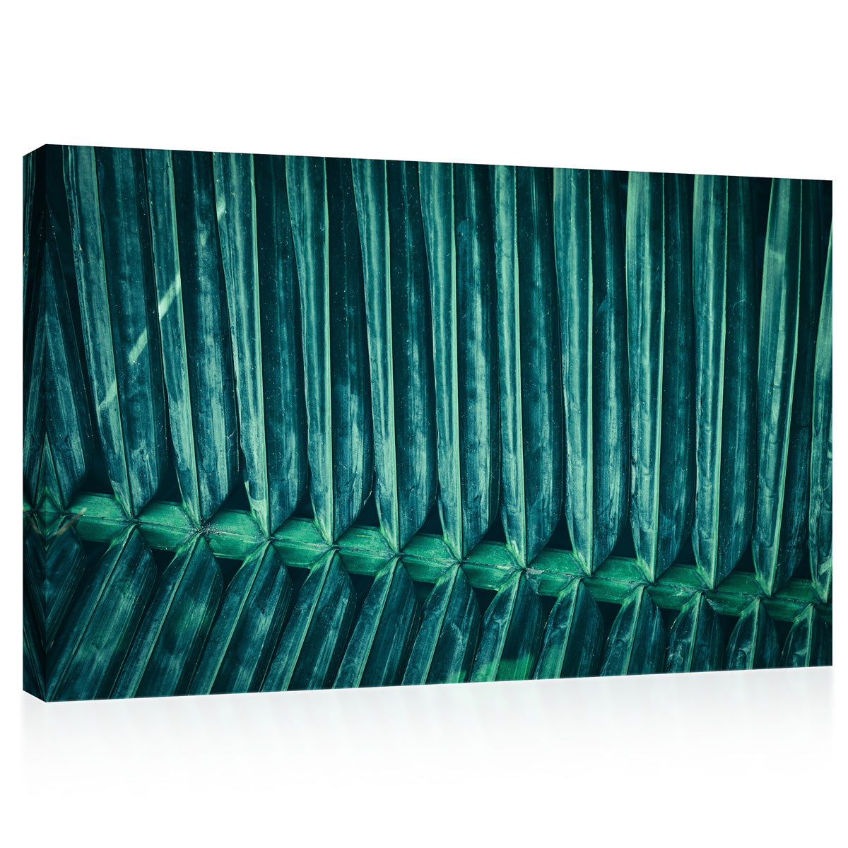 Canvas Print -  Palm Leaf #E0643