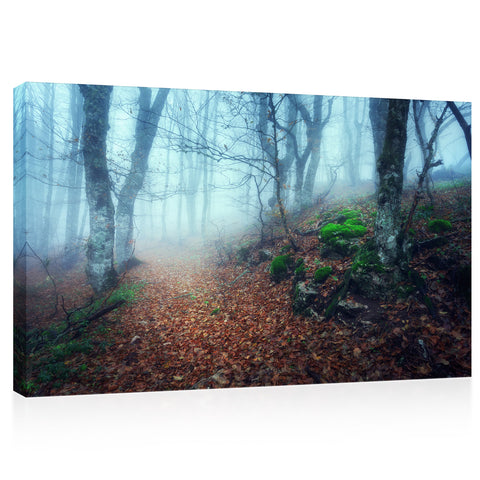 Canvas Print -  Trail Through a Mysterious Dark Old Forest in Crimea #E0130