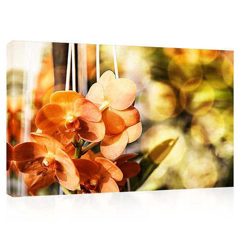 Impression sur toile - Morning Light At Orange Phalaenopsis #E0636