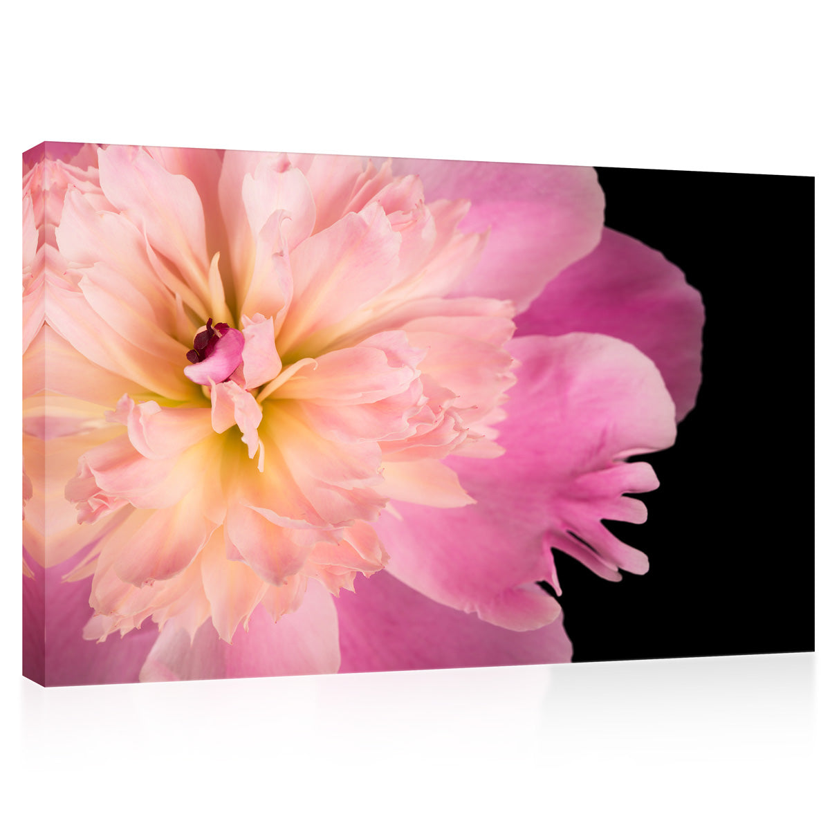 Impression sur toile - Pivoine rose #E0688