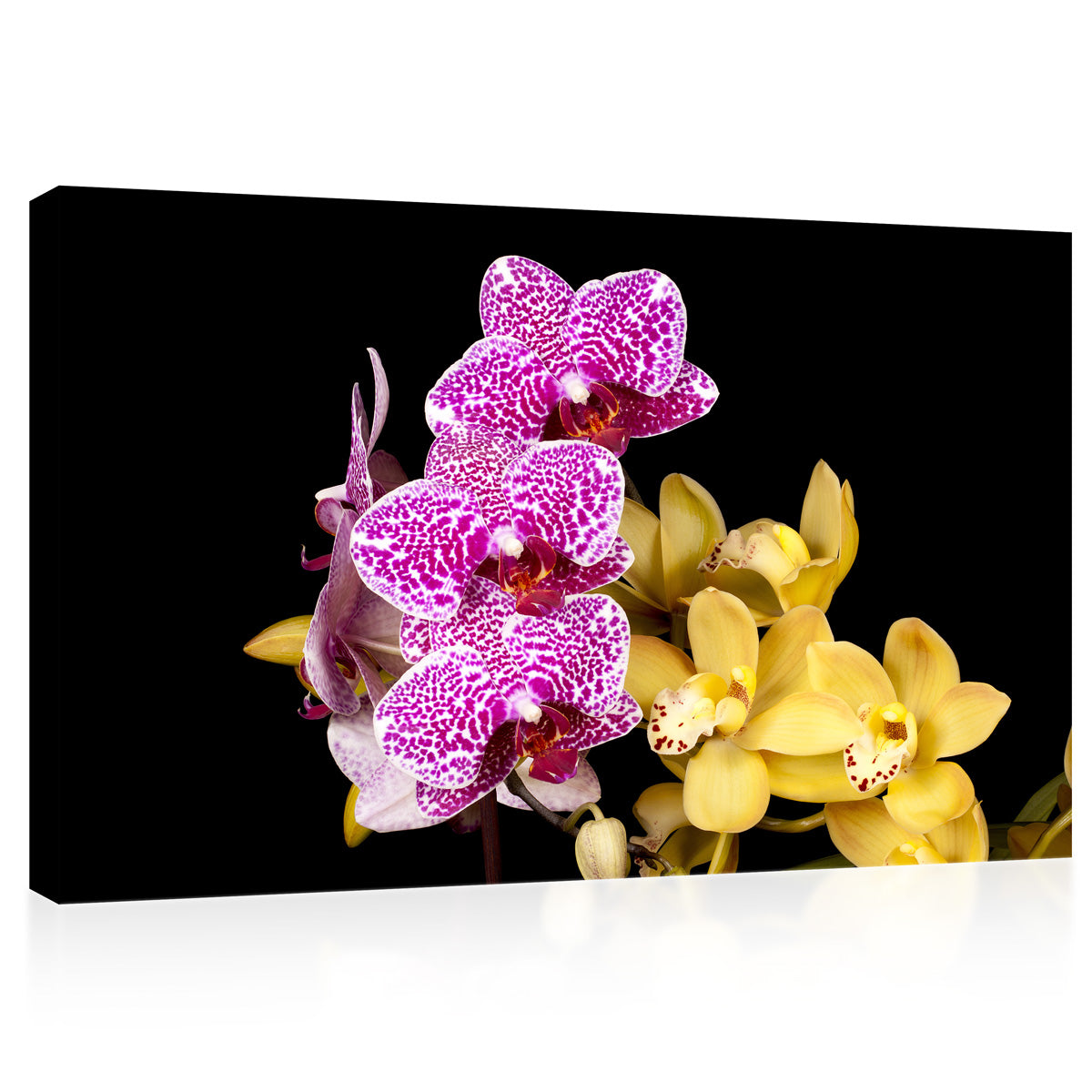 Impression sur toile - Orchidées multicolores #E0682