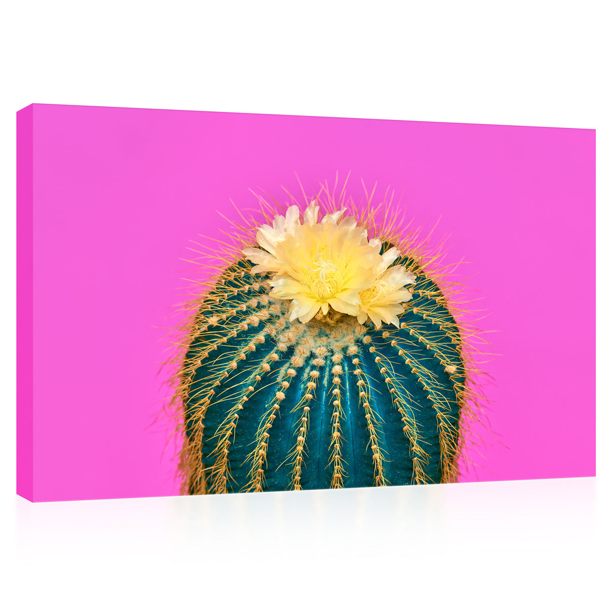 Canvas Print -  Blooming Cactus On Crimson Background #E0807