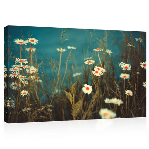 Canvas Print -  Daises Field Near Lake #E0856