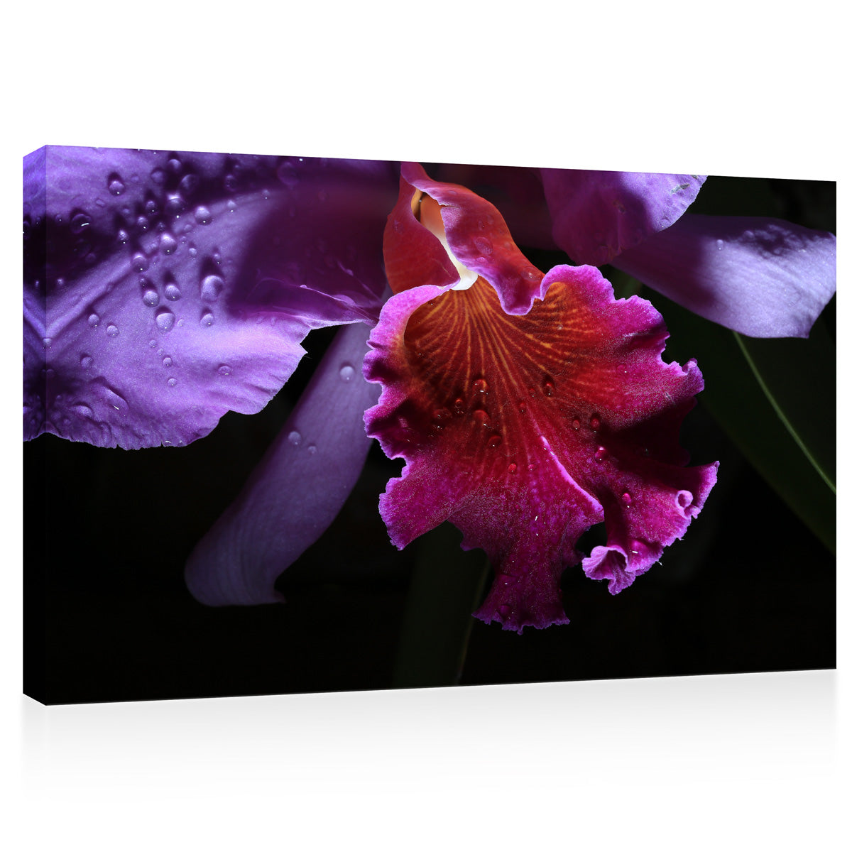 Impression sur toile - Orchidée en fleurs #E0668