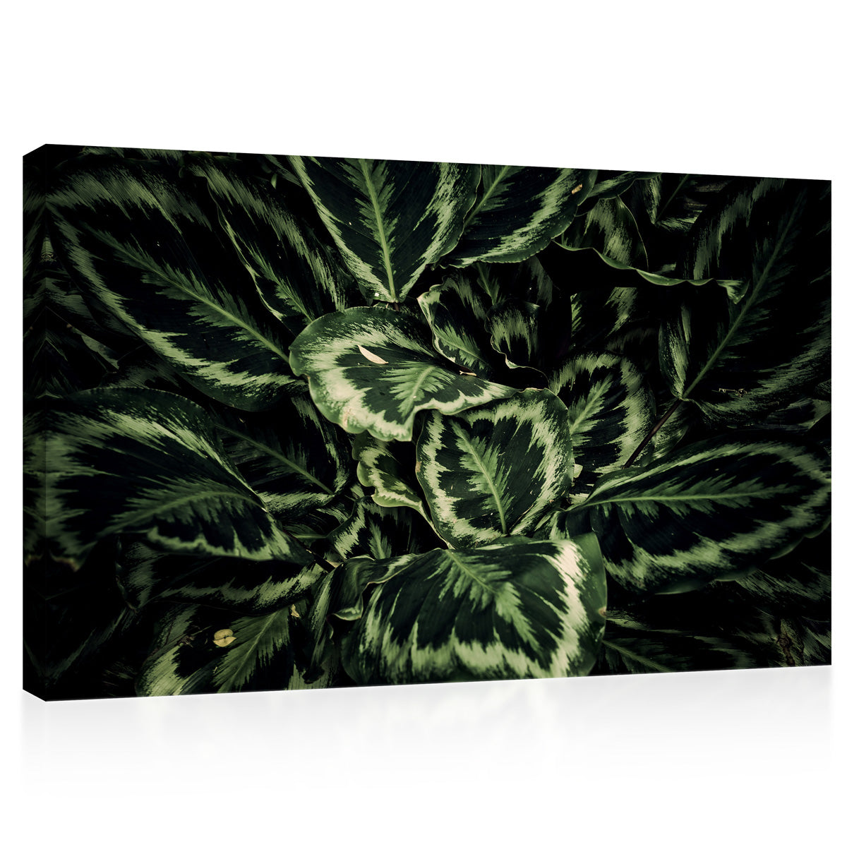 Canvas Print -  Tropical Green Leafs #E0821