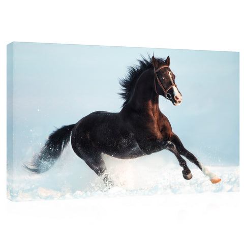 Canvas Print -  Brown Horse On The Snow #E1015