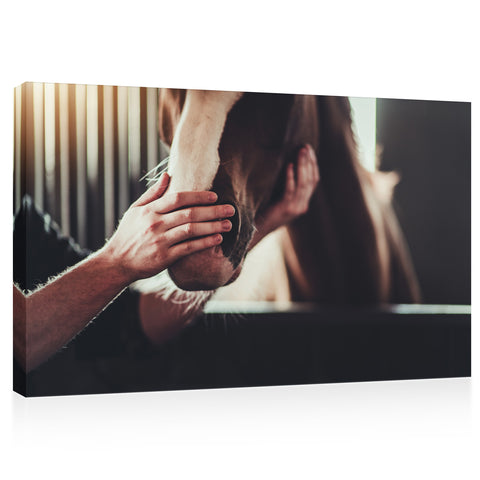 Canvas Print -  Horse Nose Caress #E0916