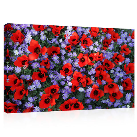 Canvas Print -  Field Of Red Tulips And Purple Flowers #E0671