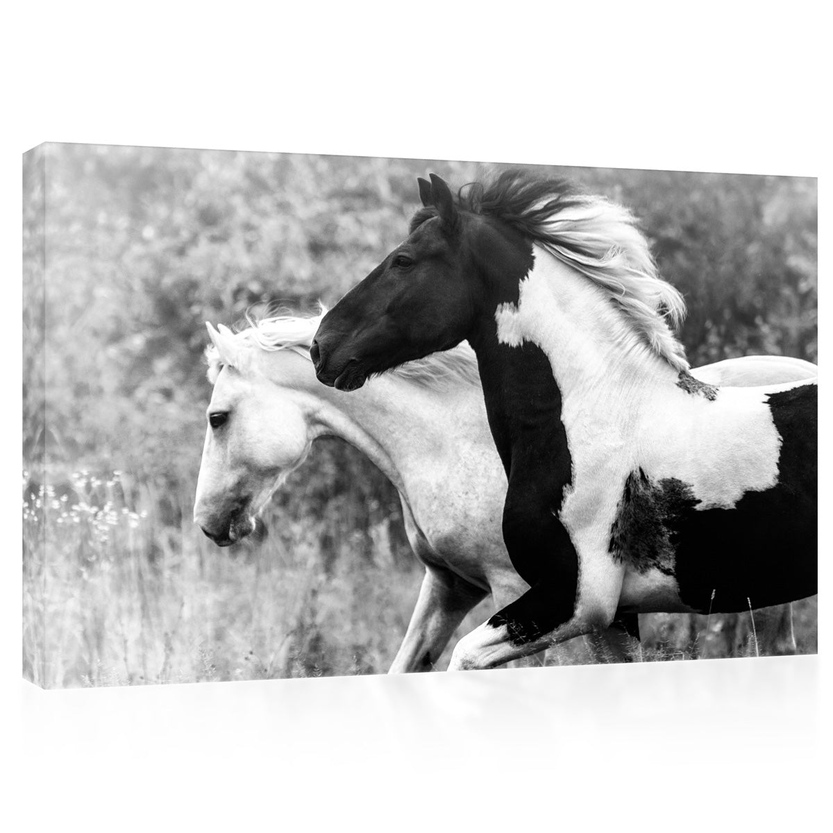 Canvas Print -  Two Horses In Forest #E0913