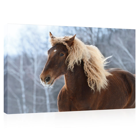 Impression sur toile - Cheval soviétique marron #E0905