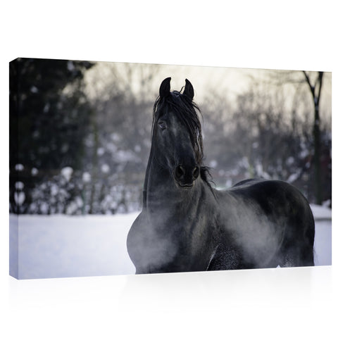 Canvas Print -  Black Horse On Snow #E0891