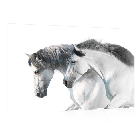 Impression sur toile - Portrait de chevaux blancs #E0896