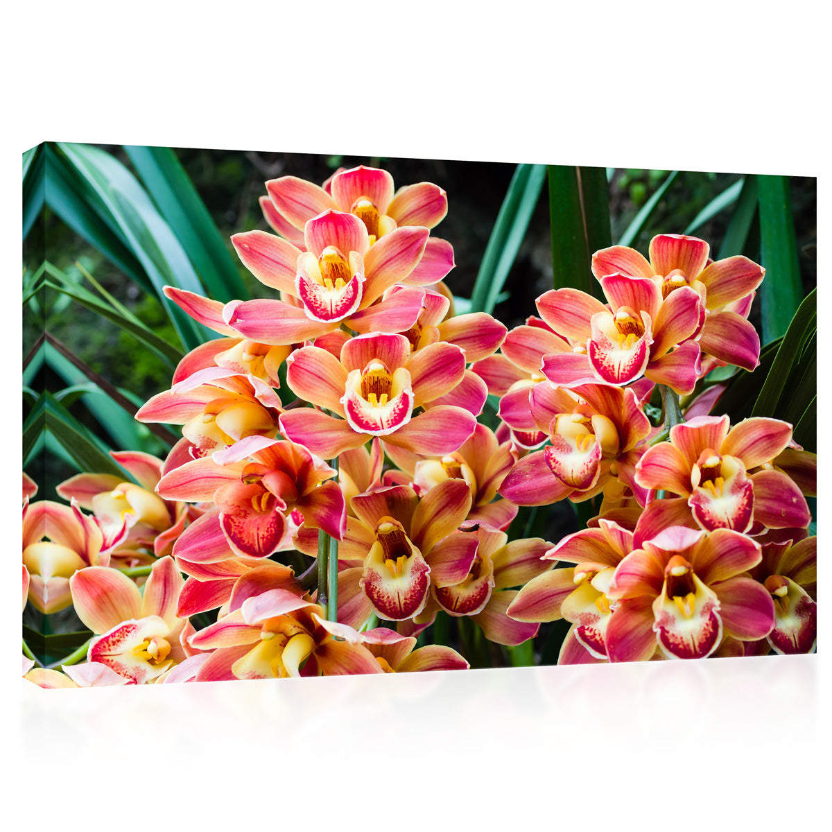 Canvas Print -  Bouquet Of Beautiful Orchids #E0721