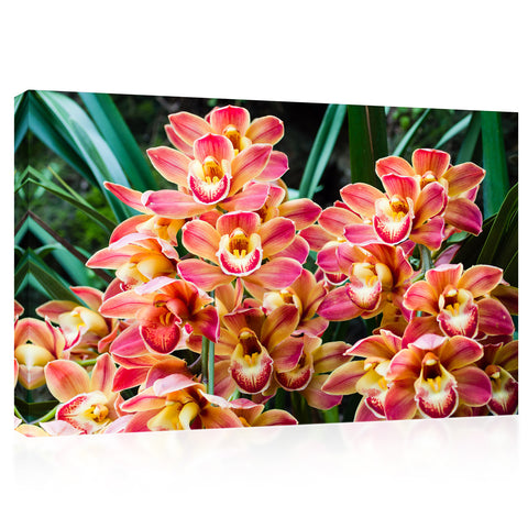 Impression sur toile - Bouquet de belles orchidées #E0721