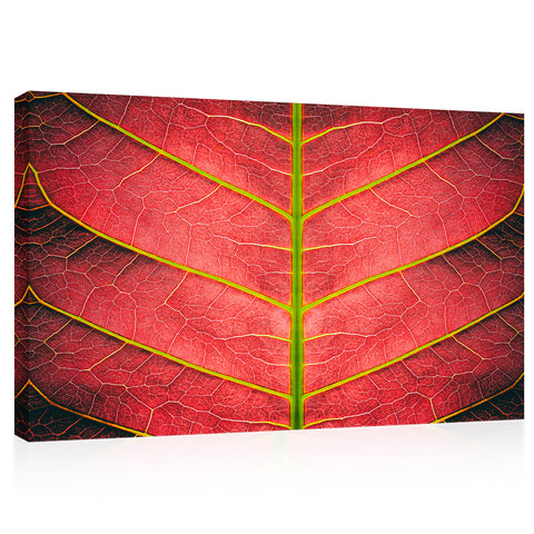 Impression sur toile - Feuille rouge d'automne #E0648