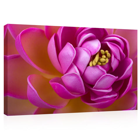 Canvas Print -  Crimson Lotus Flower #E0658