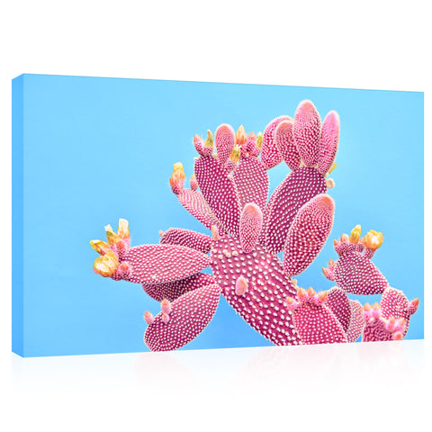 Canvas Print -  Blooming Pink Cactus On Blue Background #E0812