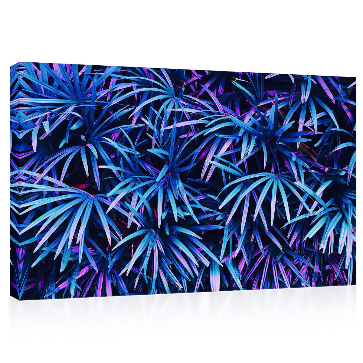 Impression sur toile - Feuillage de palmiers exotiques #E0644