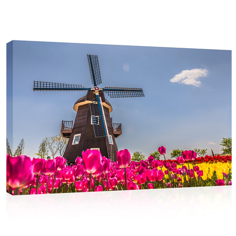 Canvas Print -  Tulip Field And Wood Mill #E0738