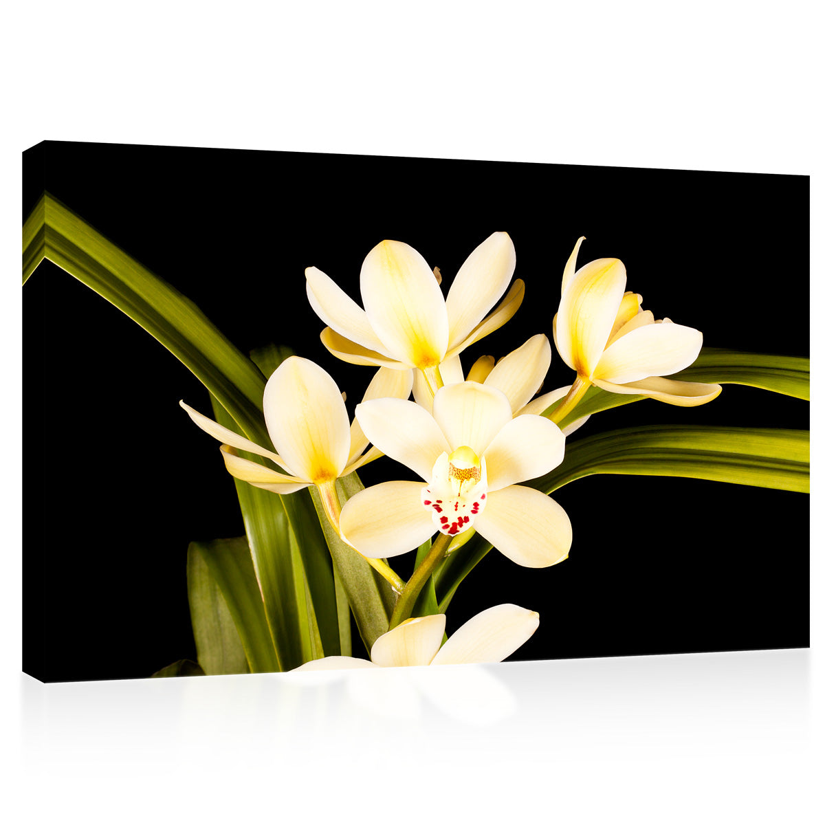 Canvas Print -  Magical Yellow Orchids #E0680