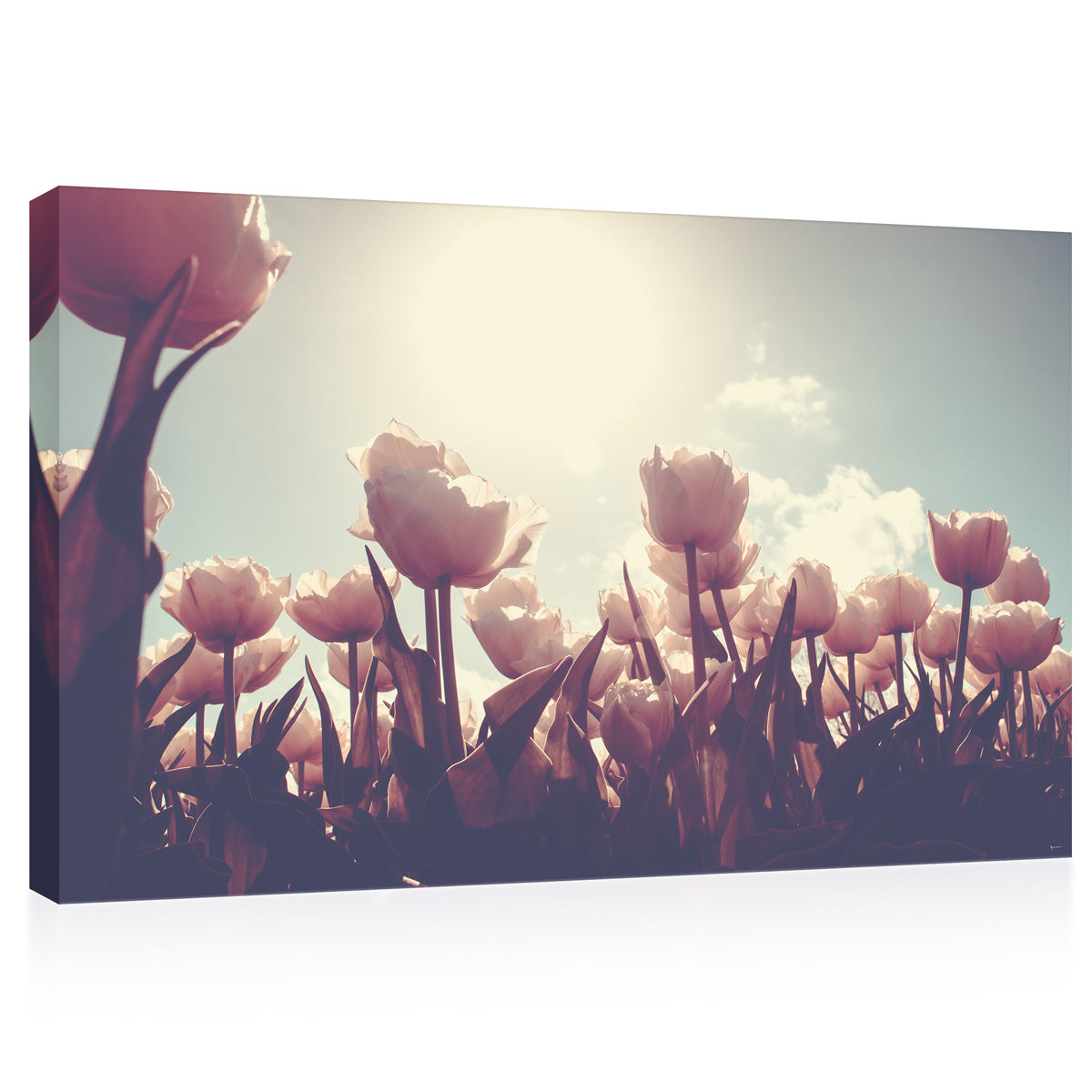 Canvas Print - أشعة الشمس الربيعية في Tulips #E0740