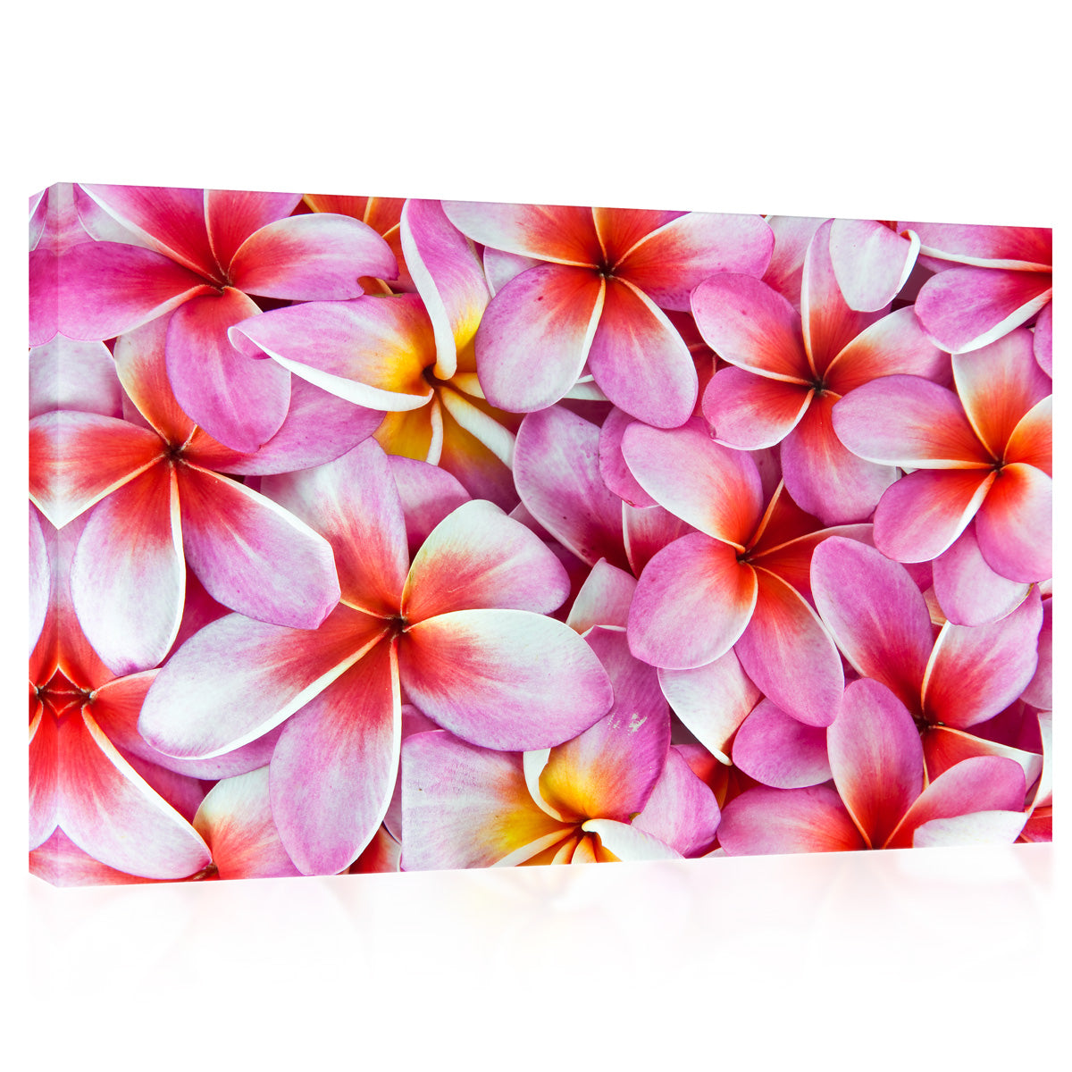 طباعة قماش - Frangipani Flowers #E0672