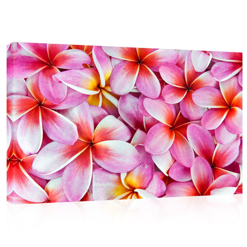 Impression sur toile - Fleurs de frangipanier #E0672