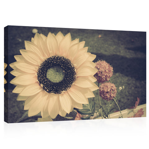 Impression sur toile - Tournesol vintage #E0869