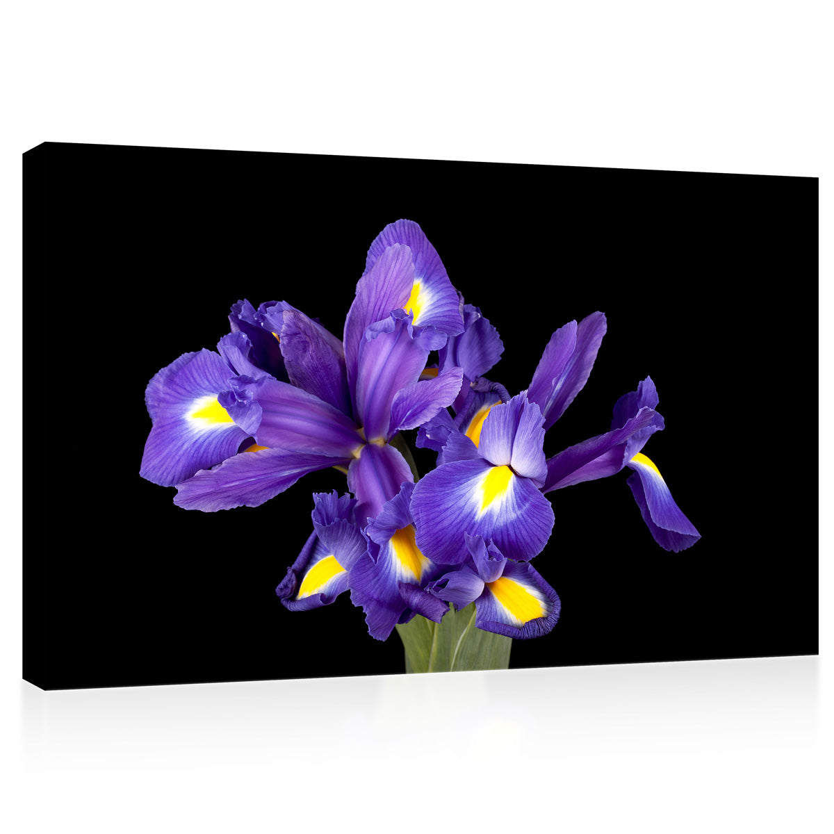 Impression sur toile - Bouquet d'iris violets #E0690