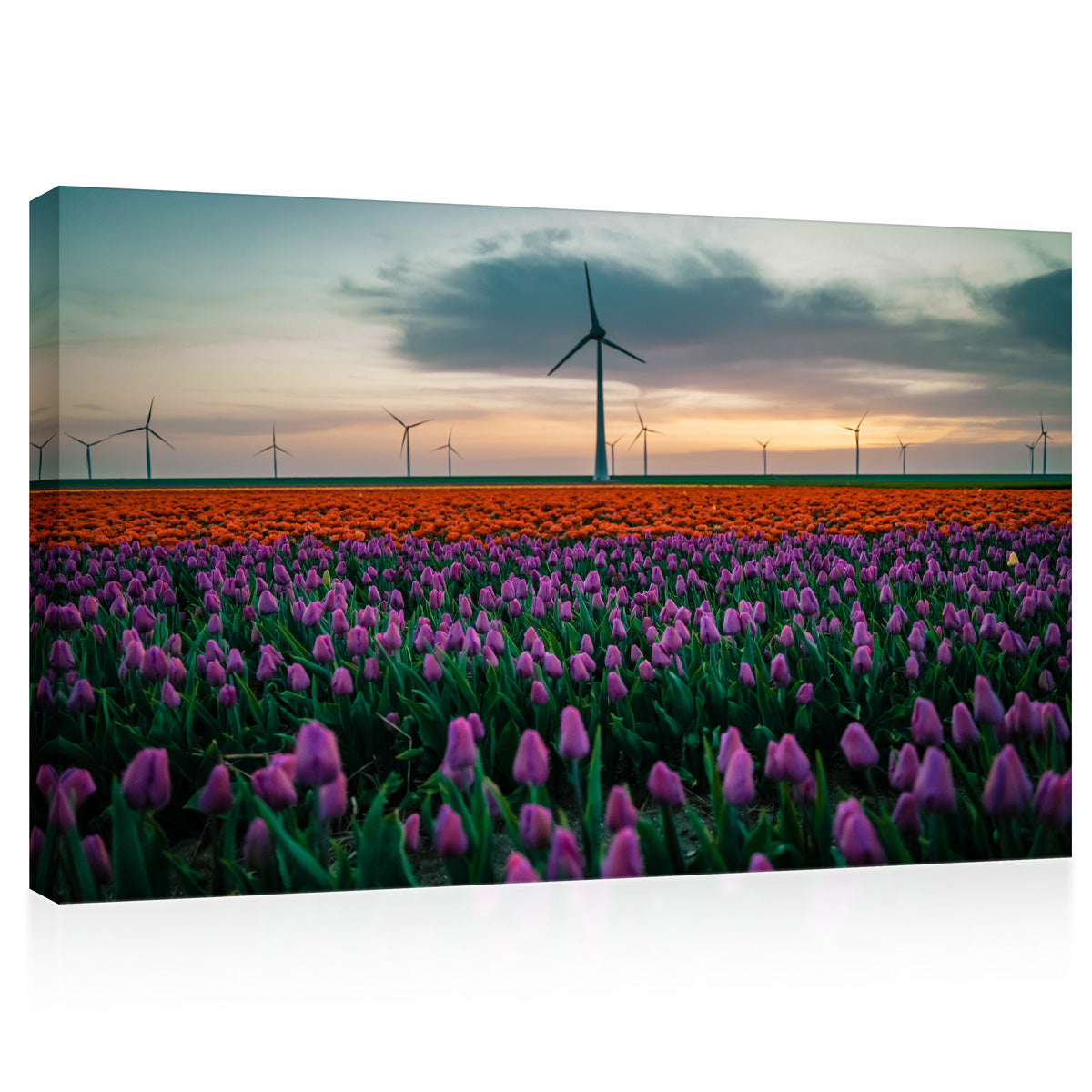 Impression sur toile - Champ de tulipes et moulins à vent #E0744