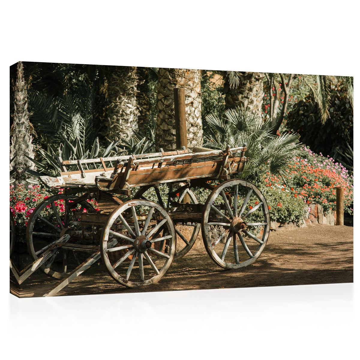 Canvas Print -  Palm Grove, Blooming Flowerbed And Wood Carriage #E0704