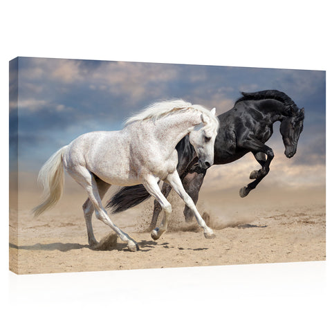 Canvas Print -  Black And White Horses In Desert #E0937