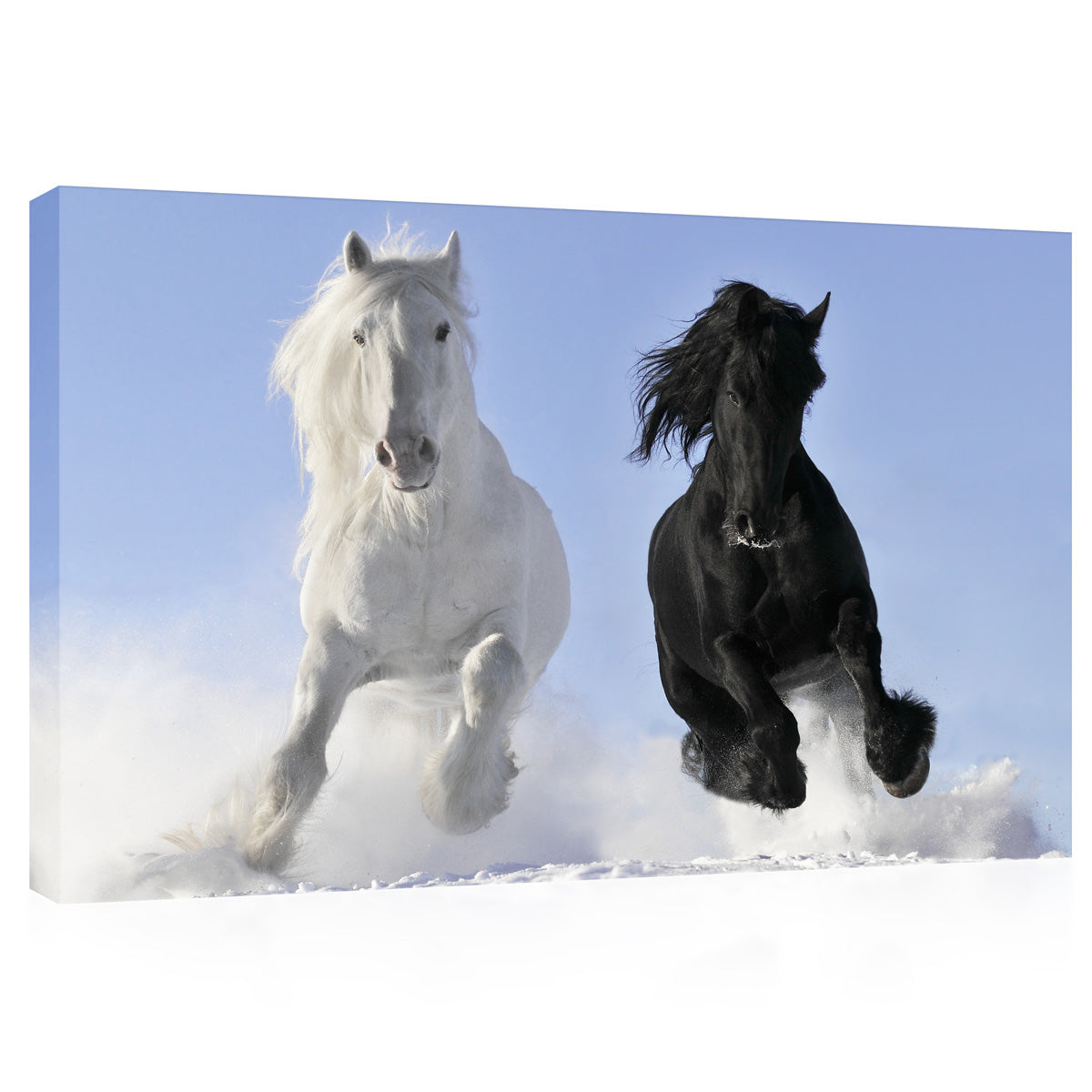 Impression sur toile - Chevaux blancs et noirs en hiver #E0912