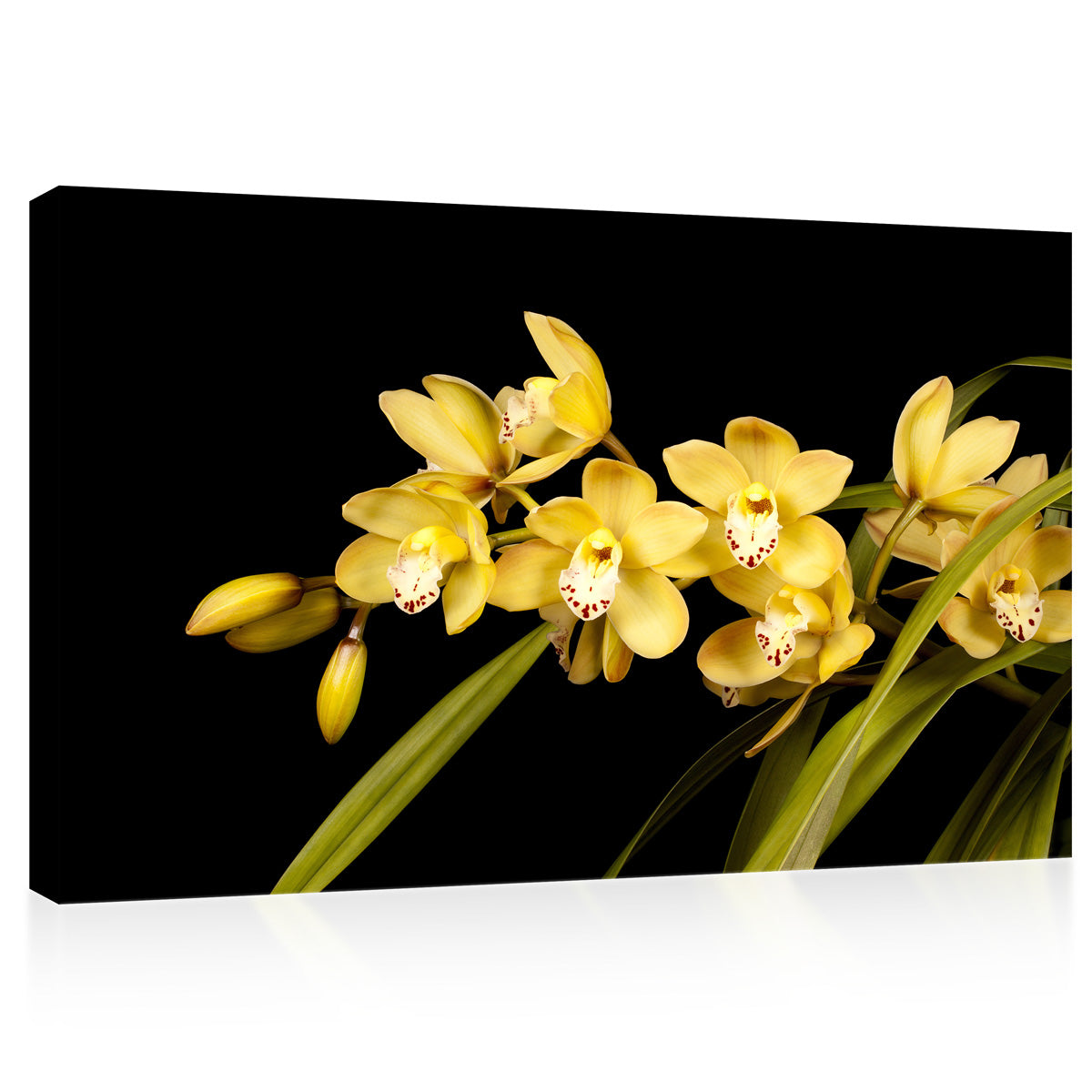 Impression sur toile - Brunch orchidée jaune #E0683