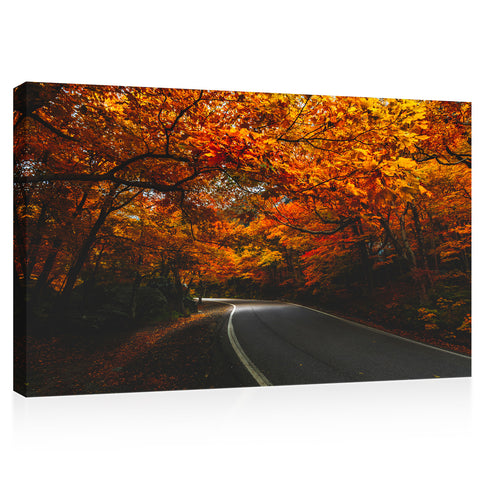 キャンバスプリント - 秋に秋の葉の木で裏打ちされた影の道路＃e0135