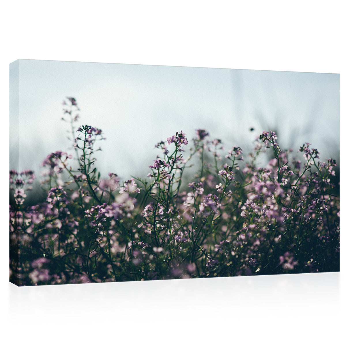 Canvas Print -  Flowers At Cloudy Day #E0802