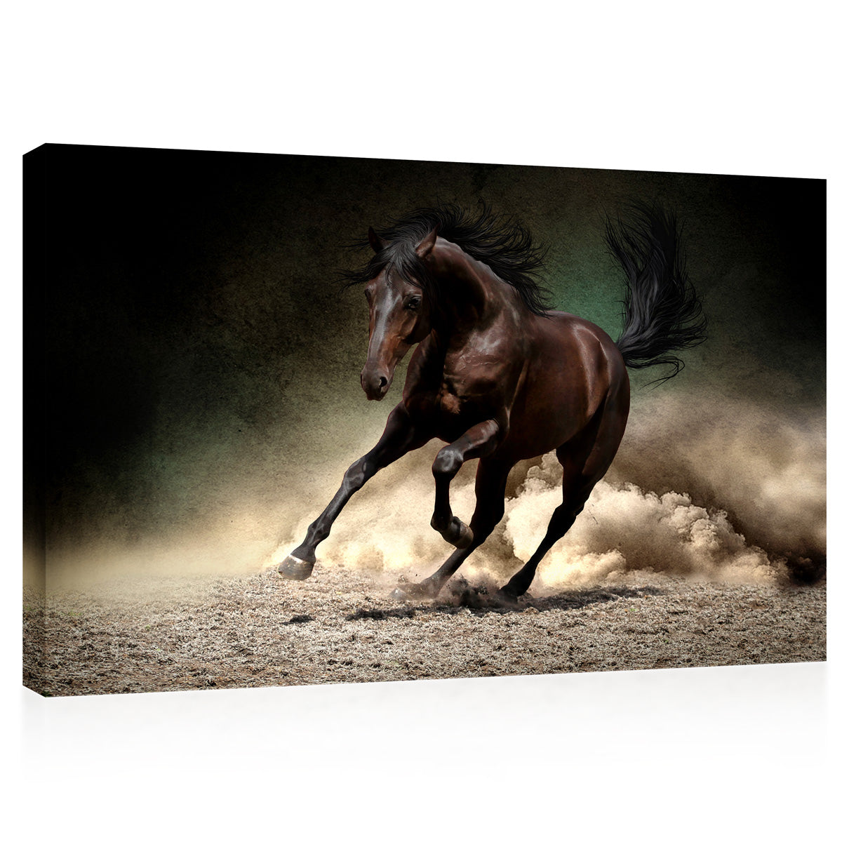 Canvas Print -  Black Horse In Dust Desert #E0920