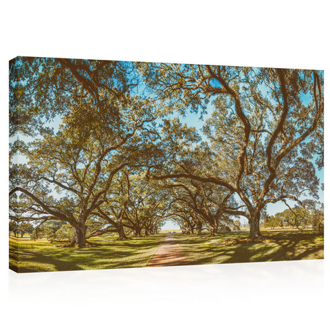 Impression sur toile - Vue panoramique de la plantation d'Oak Alley, Louisiane #E0960