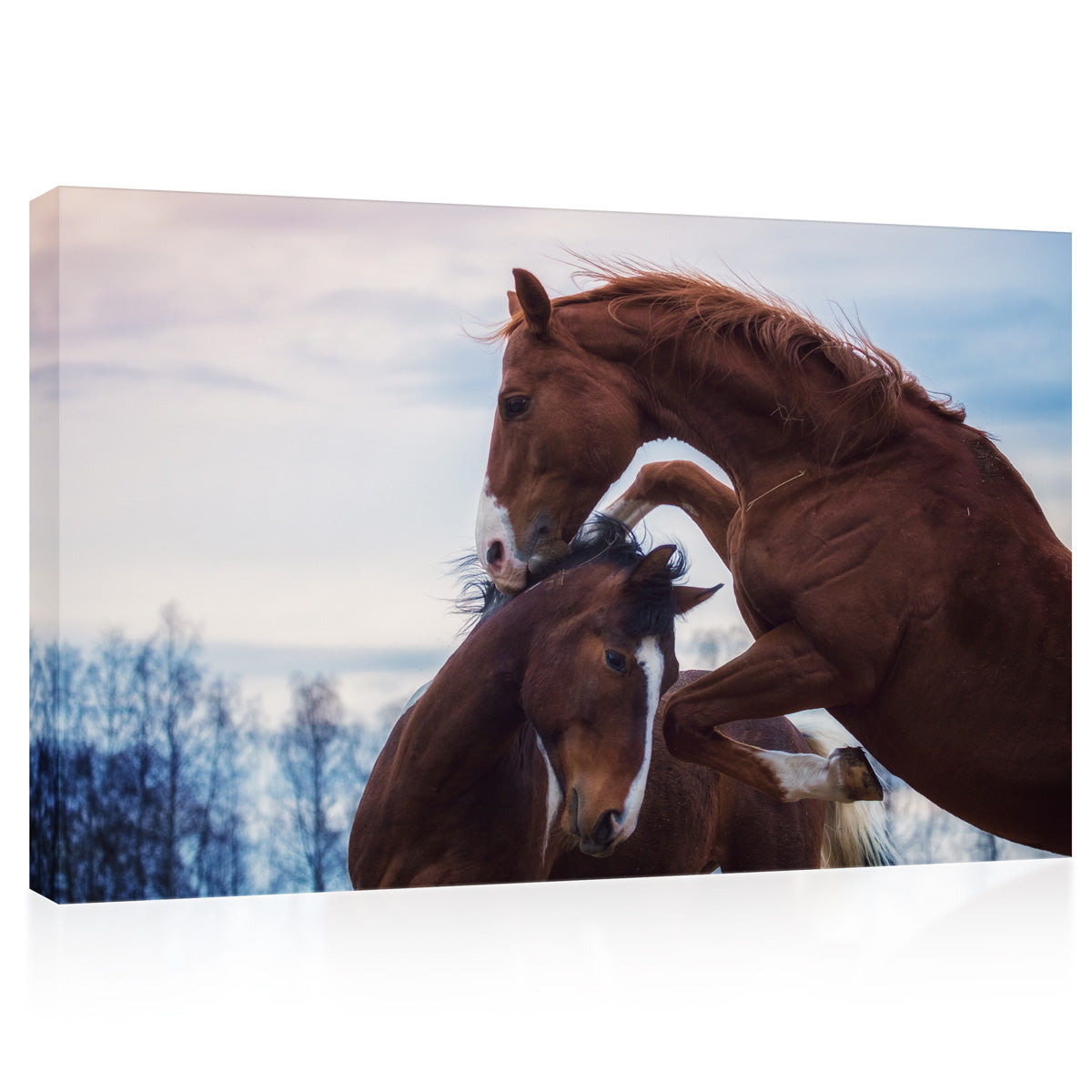 Canvas Print -  Portrait Of Two Playing Horses In Winter #E0917