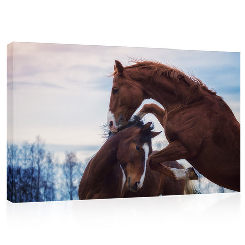 Impression sur toile - Portrait de deux chevaux jouant en hiver #E0917