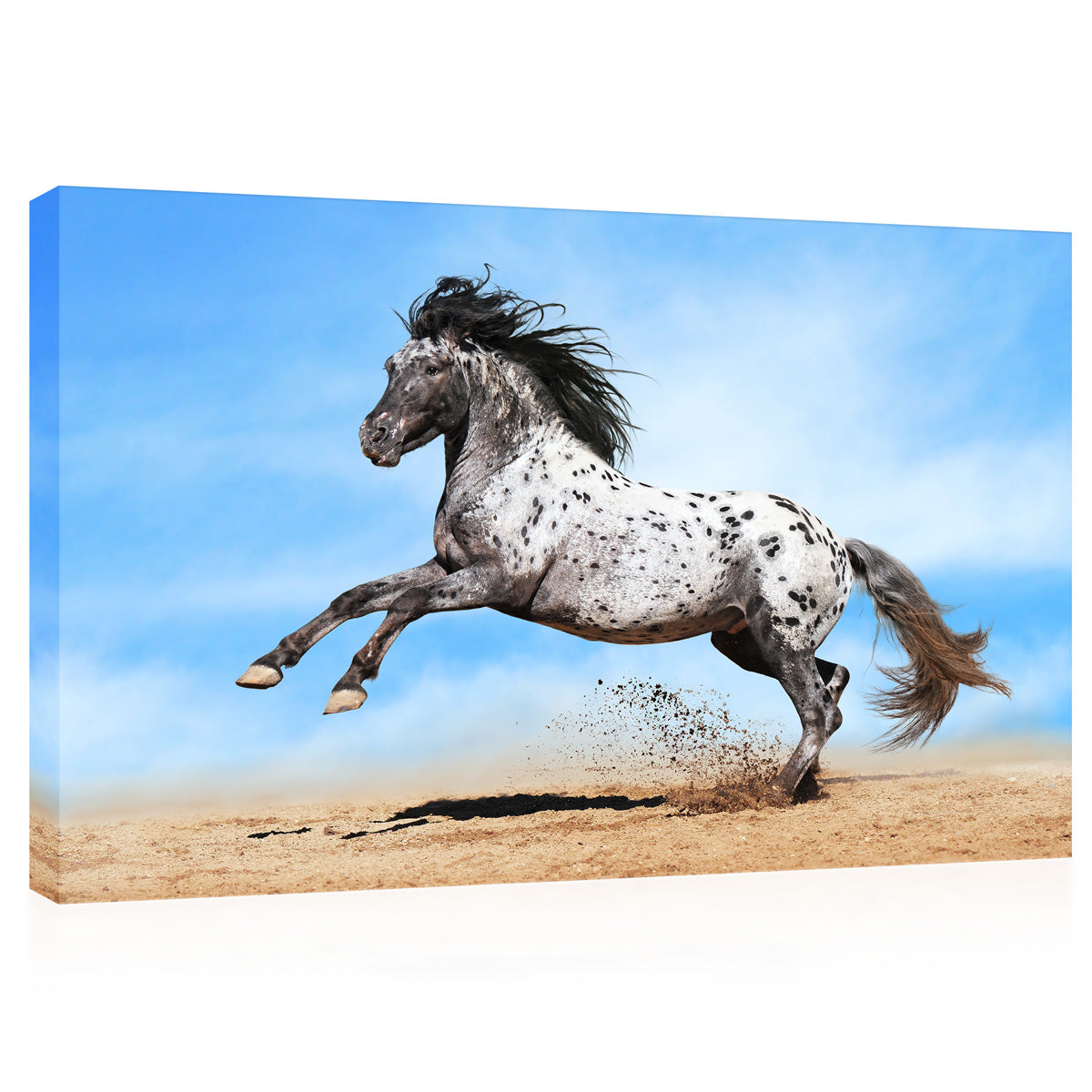 Impression sur toile - Cheval Appaloosa #E0903