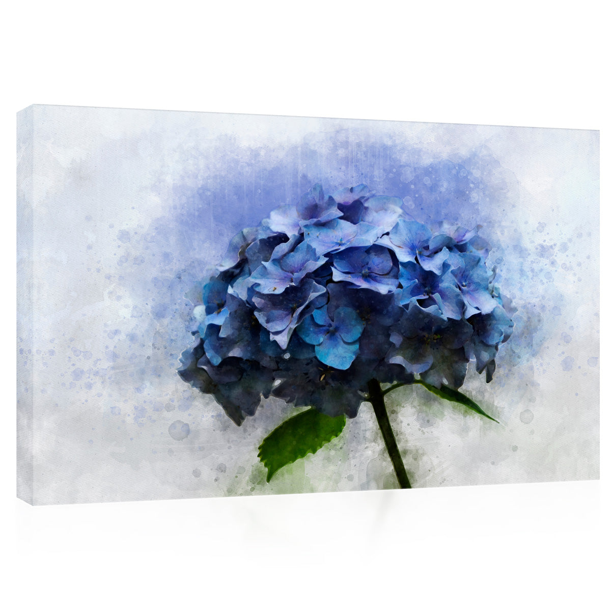 Canvas Print -  Watercolor Drawing Of A Single Blue Hortensia, Botanical Art #E0588
