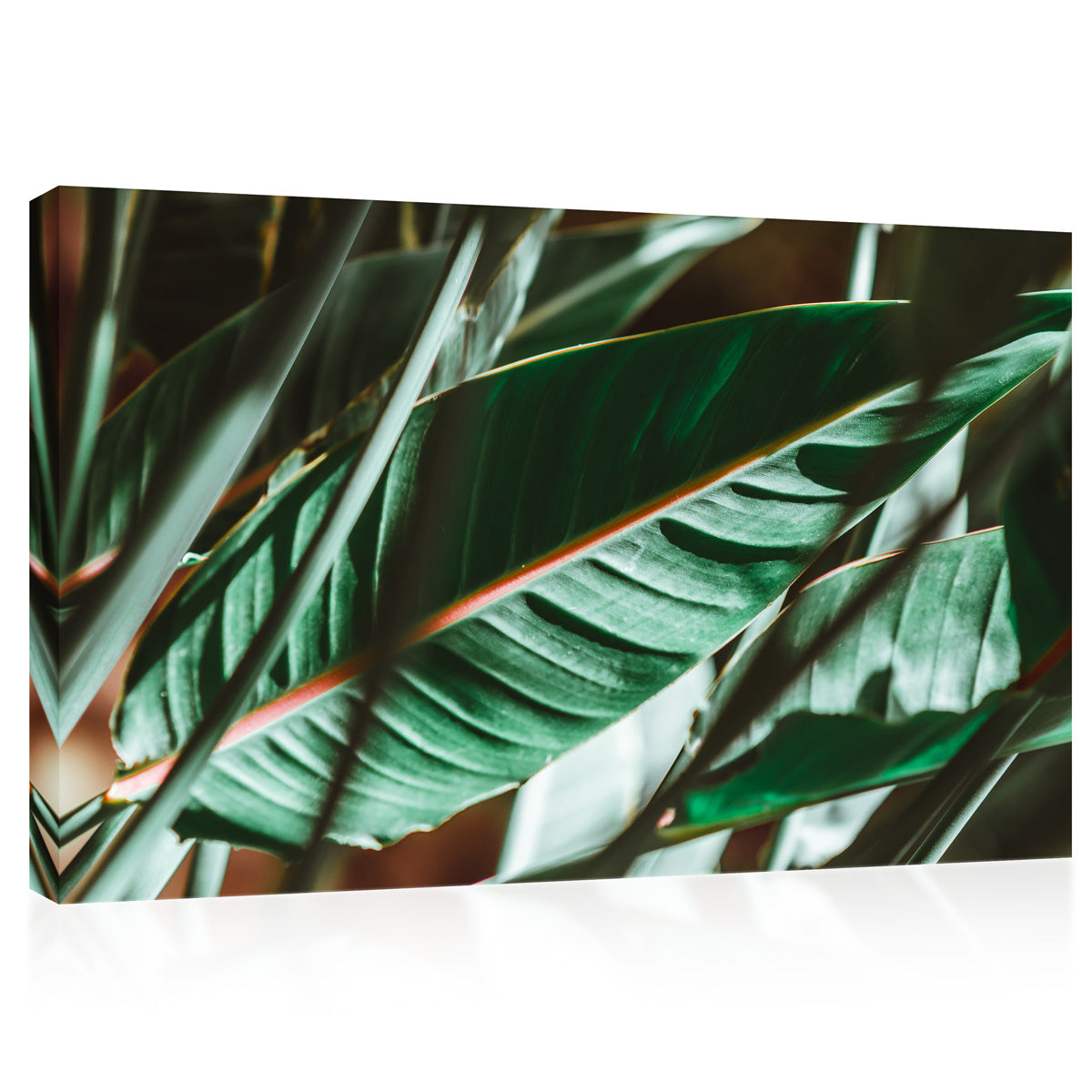 Impression sur toile - Sunlight At Green Palm Branches #E0656