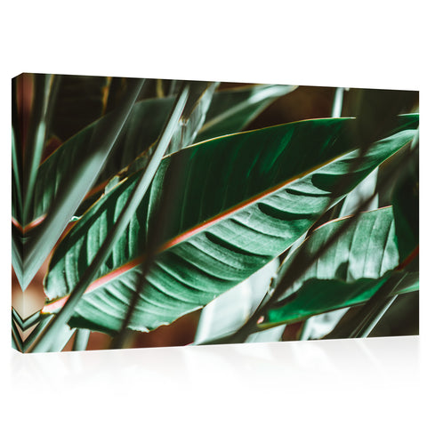 Canvas Print -  Sunlight At Green Palm Branches #E0656