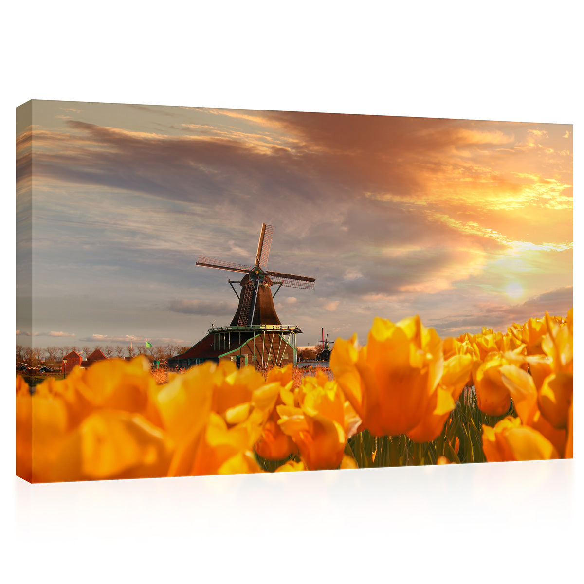 Canvas Print -  Yellow Tulips At Sunset #E0752