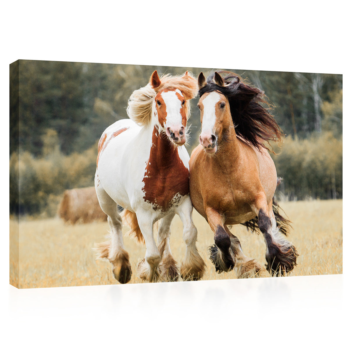 Canvas Print -  Horses Run Across The Field #E0895