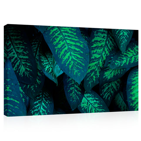 Canvas Print -  Tropical Foliage #E0825