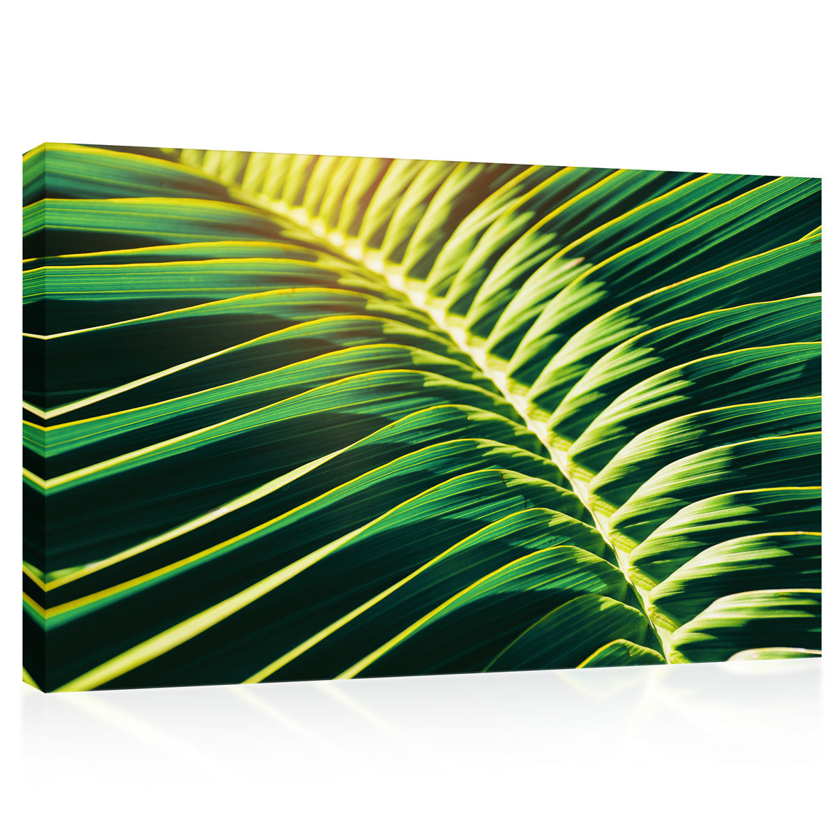 Canvas Print -  Sunlight Shining On Tropical Palm Leaf #E0641