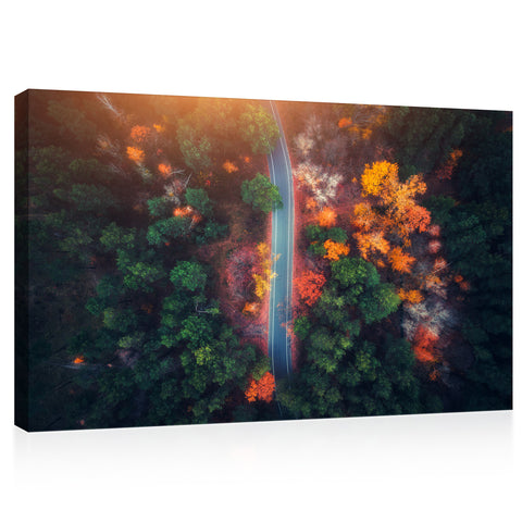 Canvas Print -  Road in beautiful autumn forest at sunset #E0121